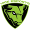 Vice Esports (Dota 2)