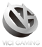 Vici Gaming (Dota 2)