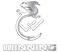Winning Gaming (Dota 2)