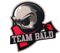 Team Bald (Dota 2)