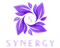 Synergy (Dota 2)
