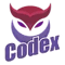 Team Codex (Dota 2)