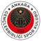 Gençlerbirliği (EA SPORTS FC)