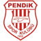 Pendikspor (EA SPORTS FC)