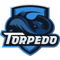 Team Torpedo (Hearthstone)