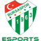 Bursaspor Esports Academy (LoL)