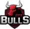 GTZ Bulls (LoL)