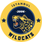 Istanbul Wildcats (LoL)