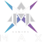 MAX E-Sports Club (LoL)