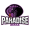Paradise Team