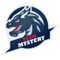 Team Mystery