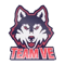 Team VE