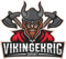 Vikingekrig Esports (LoL)