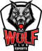 Wolf Club Esports (LoL)