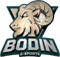 Bodin Esports (LoL)