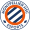 MHSC Esport (LoL)