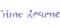 Time Resume (Overwatch)