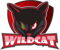 WildCat (Overwatch)
