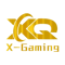 X-Gaming (Overwatch)