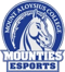 Mount Aloysius College (Overwatch)
