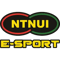 NTNUI e-sports (Overwatch)