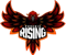 Phoenix Rising (Overwatch)