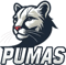 pumas (Overwatch)