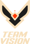 Team Vision (Overwatch)