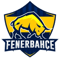 Fenerbahçe Esports