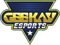 Geekay Esports