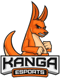 Kanga Esports (Rainbow Six)
