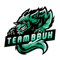 Team Bruh (Rainbow Six)