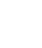 Team VIP (Rainbow Six)