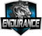 Endurance (Rocket League)