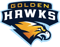 Golden Hawks (Rocket League)
