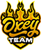 Oxey Team (Rocket League)