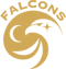 Falcons (Rocket League)