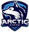 Arctic Gaming Mexico (VALORANT)
