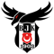 Beşiktaş Esports (VALORANT)