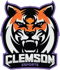 Clemson Esports (VALORANT)