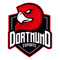 Dortmund eSports (VALORANT)