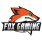 Fox Gaming (VALORANT)