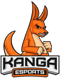 Kanga Esports (VALORANT)