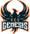 New Genesis Esports (VALORANT)