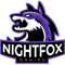 NightFoX Gaming (VALORANT)