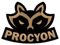 Procyon Team (VALORANT)