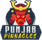 Punjab Pinnacles (VALORANT)