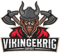 Vikingekrig Esports (VALORANT)