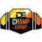 De Champ Esports (VALORANT)