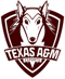 Texas A&M University (VALORANT)